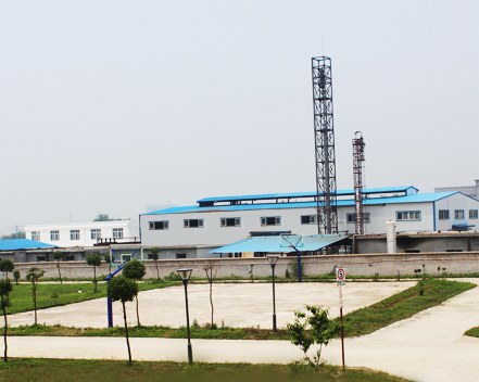 武漢市強龍化工新材料有限責任公司